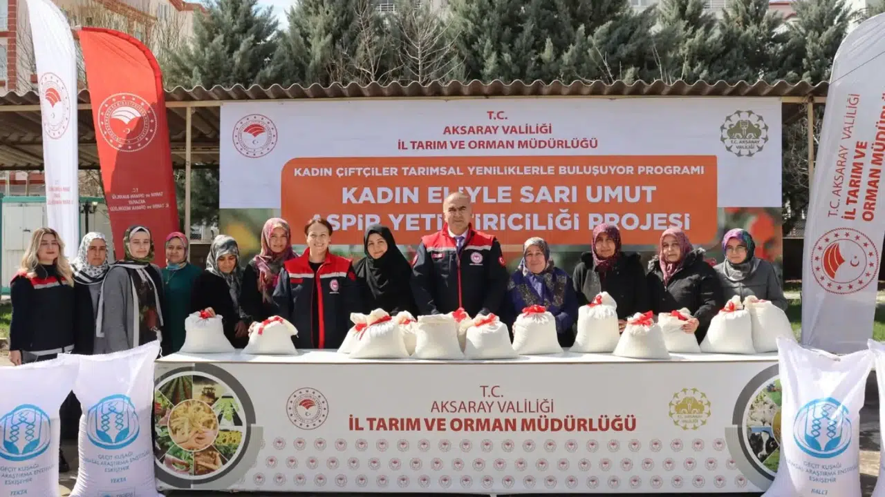 Kadın çiftçilere aspir tohumu dağıtıldı