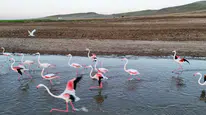 Hirfanlı'da Mola, Rota Tuz Gölü