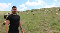 Koyuncuların zorlu kış hazırlıkları başladı