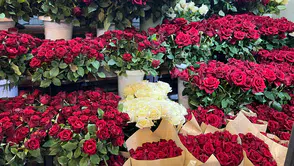 Çiçekçiler Sevgililer Günü Hazırlıklarına Başladı