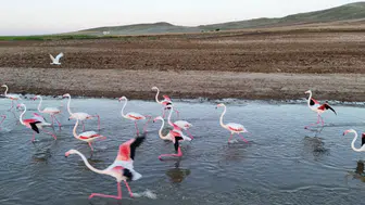Hirfanlı'da Mola, Rota Tuz Gölü