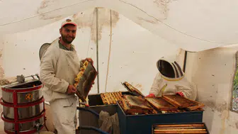 Yağan Yağışlar Arıcıların Umudu Oldu