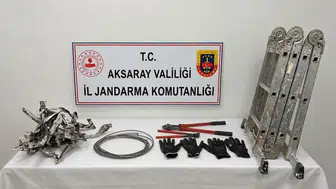 Aksaray’da kaplo  hırsızlığı 2 tutuklama