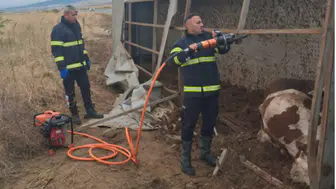 Aksaray’da tır devrildi: 6 büyükbaş hayvan öldü
