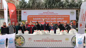 Kadın çiftçilere aspir tohumu dağıtıldı