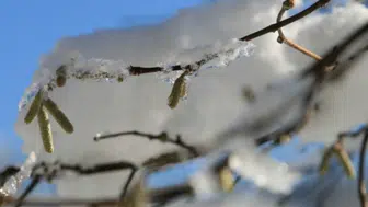 Aksaray’a Zirai Don Uyarısı