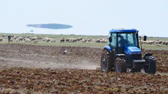 Leyleklerin solucan mesaisi