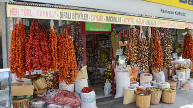 Aktarlarda Sonbahar Hareketliliği