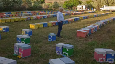 Arıcılar Mersin yerine Aksaray’da   arılarını kışlatmaya başladılar