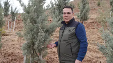 450 Bin Hektar Alanda 1 Milyon Fidan Toprakla Buluşacak