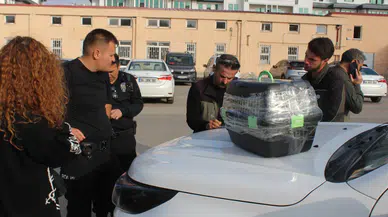 Nesli Tehlike Altındaki Kara Ayaklı Gelinciği Satmaya Çalışırken Yakalandı