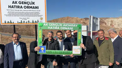 AK gençlik fidan dikti