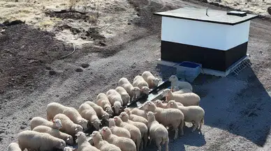 Hayvan içme suyu tesisleri kırsal kalkınmaya destek oluyor