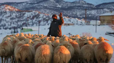 Aktürk: “Kar, tarım ve hayvancılığın geleceğidir”
