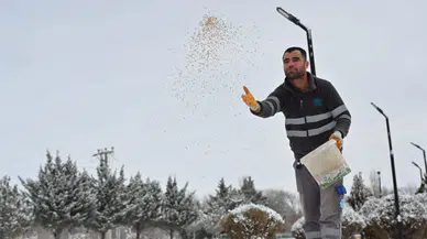 Soğuk Ve Karlı Günlerde Doğadaki Kuşlar Unutulmadı