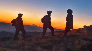 Hasan Dağı zirvesinde endemik güzellik: Yüzlerce çiçek açtı