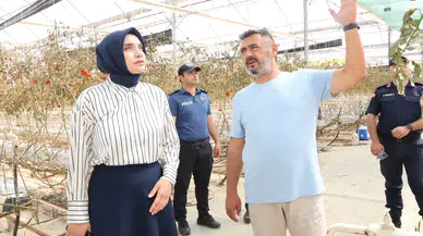 Arıkan’dan Topraksız Tarım Serasına Ziyaret