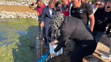 Aksaray'da göl ve göletlere 500 bin yavru sazan bırakıldı