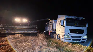 Eskil Ovası'nda Hasat Mesaisi Başladı