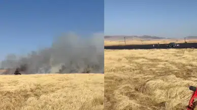 Ekin tarlası yandı