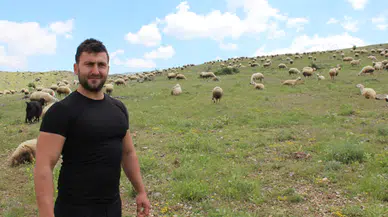 Koyuncuların zorlu kış hazırlıkları başladı