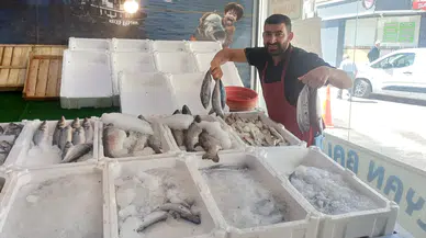 Balık fiyatları düştü vatandaşın yüzü güldü