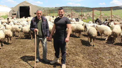 Hayvancılık desteklerinde başvuru dönemi başladı