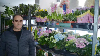 “Yapamazsın” dediler, başardı; sektörde ihracat ve ithalatçı oldu