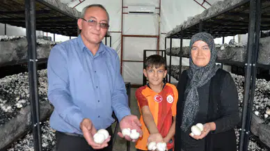 Devlet desteğiyle köy muhtarı mantar üreticisi oldu