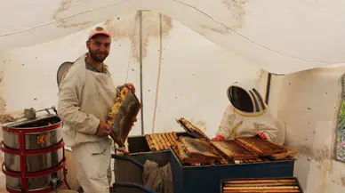 Yağan Yağışlar Arıcıların Umudu Oldu