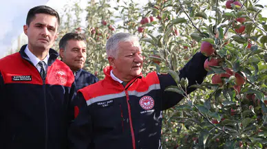 Duru, Eskil’de elma hasadına katıldı