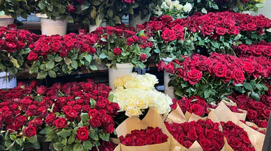 Çiçekçiler Sevgililer Günü Hazırlıklarına Başladı