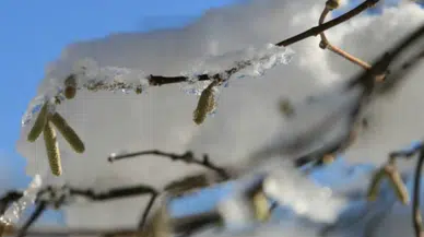 Aksaray’a Zirai Don Uyarısı