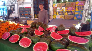 Karpuz tezgâhlarda yerini aldı: Kilosu 60 lira