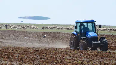 Leyleklerin solucan mesaisi
