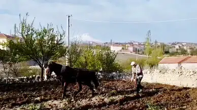 Yüzyıllık gelenek bu beldede yaşatılıyor