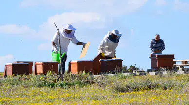 Sevdiği hobisini kazanca dönüştürdü