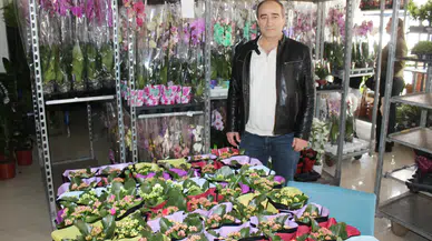Anneler Günü’nde En Çok Orkide ve Saksı Çiçekleri Tercih Ediliyor