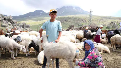 Hasan Dağı’nda yayla mesaisi başladı