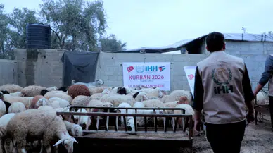 Kurban Kardeşliğe Çağrı: Gazze’de Kurban Hazırlıkları Sürüyor