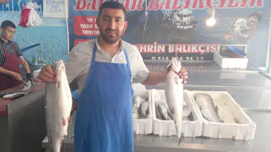 Alabalık ve Somona Yoğun İlgi