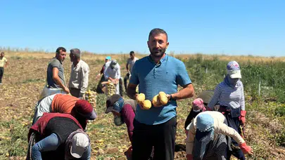 Aksaray’da Patates Hasadına Buruk Başlangıç
