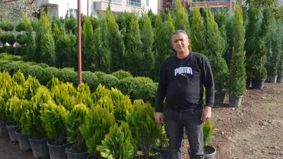 Aksaray’da güz dönemi fidan dikimleri başladı