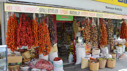 Aktarlarda Sonbahar Hareketliliği