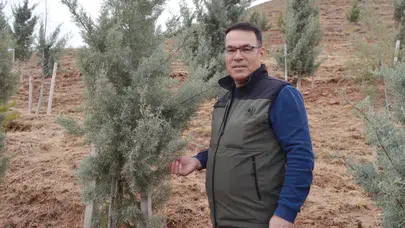 450 Bin Hektar Alanda 1 Milyon Fidan Toprakla Buluşacak