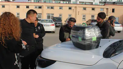 Nesli Tehlike Altındaki Kara Ayaklı Gelinciği Satmaya Çalışırken Yakalandı