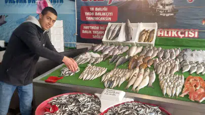 Hamsi Bolluğu Fiyatları Düşürdü