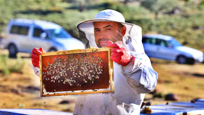 Aksaray'da 600 ton bal üretildi