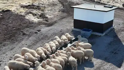 Hayvan içme suyu tesisleri kırsal kalkınmaya destek oluyor