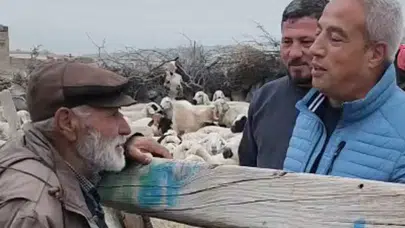 Şehit babasının koyunlarına kurt  saldırdı: 40 koyun telef oldu